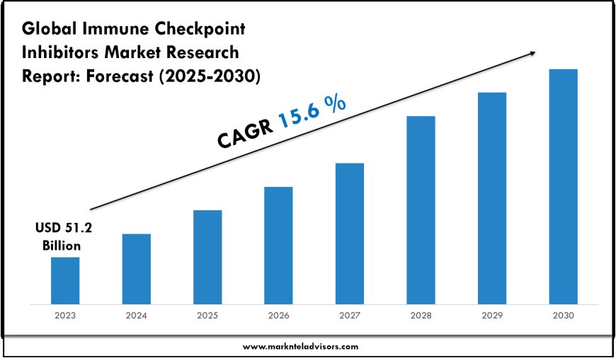 Immune Checkpoint Inhibitors Market Outlook 2030 Trends, Growth & Demand