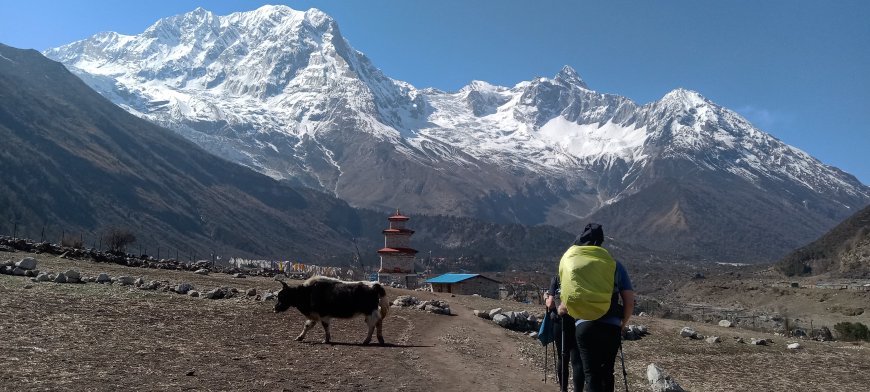 The Manaslu Circuit Trek: seasons summary, Guide to when to do the Manaslu Circuit Trek.