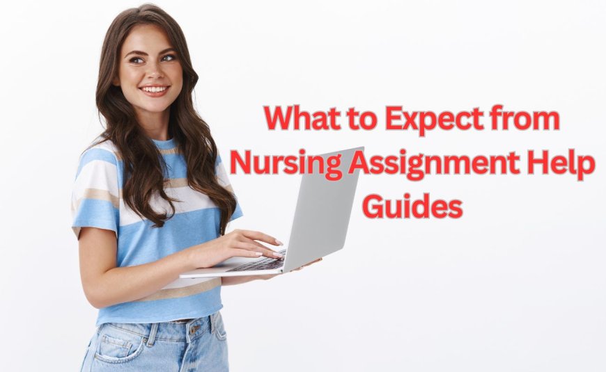 What to Expect from Nursing Assignment Help Guides