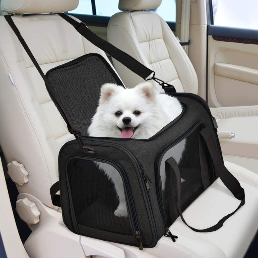Ensuring Safe Travels with the Right Puppy Car Carrier