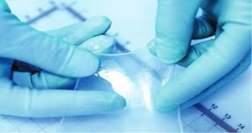 The Detailed Guide to Barrera for Wound Care Management