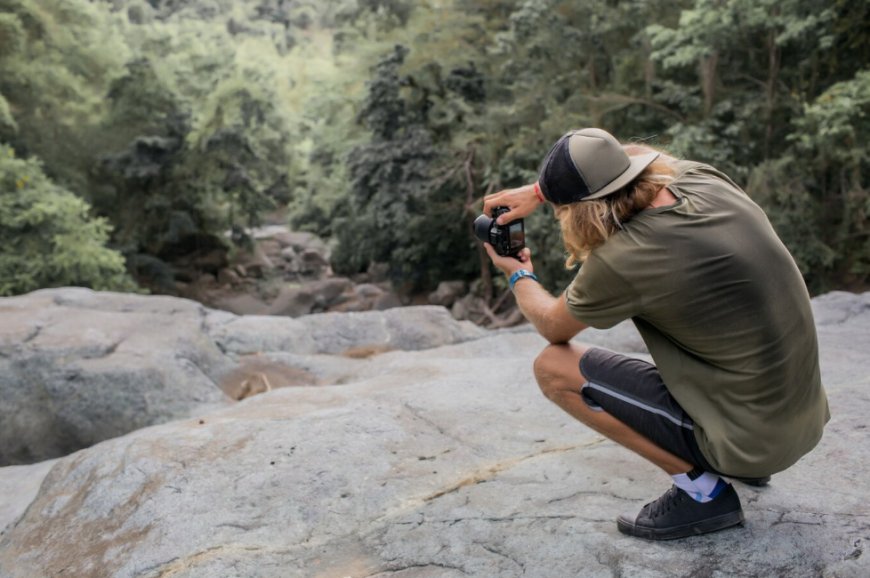 Capturing the Wild: The Art and Impact of Wildlife Photography