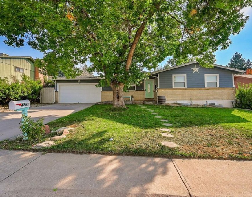 Unlocking The Power of Colorado Real Estate Brokers with Blue Pebble Homes