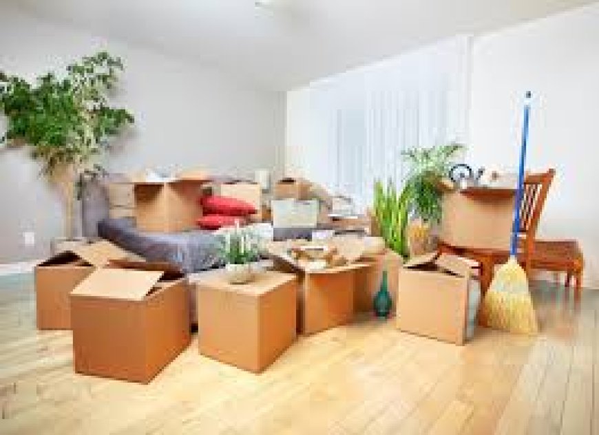 Packing and Moving Companies Near Me: A Complete Guide to Choosing the Right Local Movers
