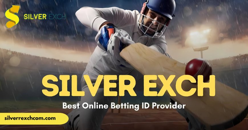 Silverbhai – Secure Gaming Experience with Trusted Digital Exchange