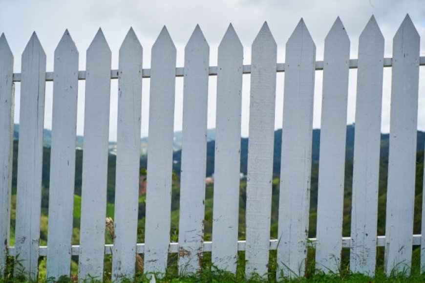 Plan Ahead: Use Our Wood Fence Cost Calculator for Accurate Pricing