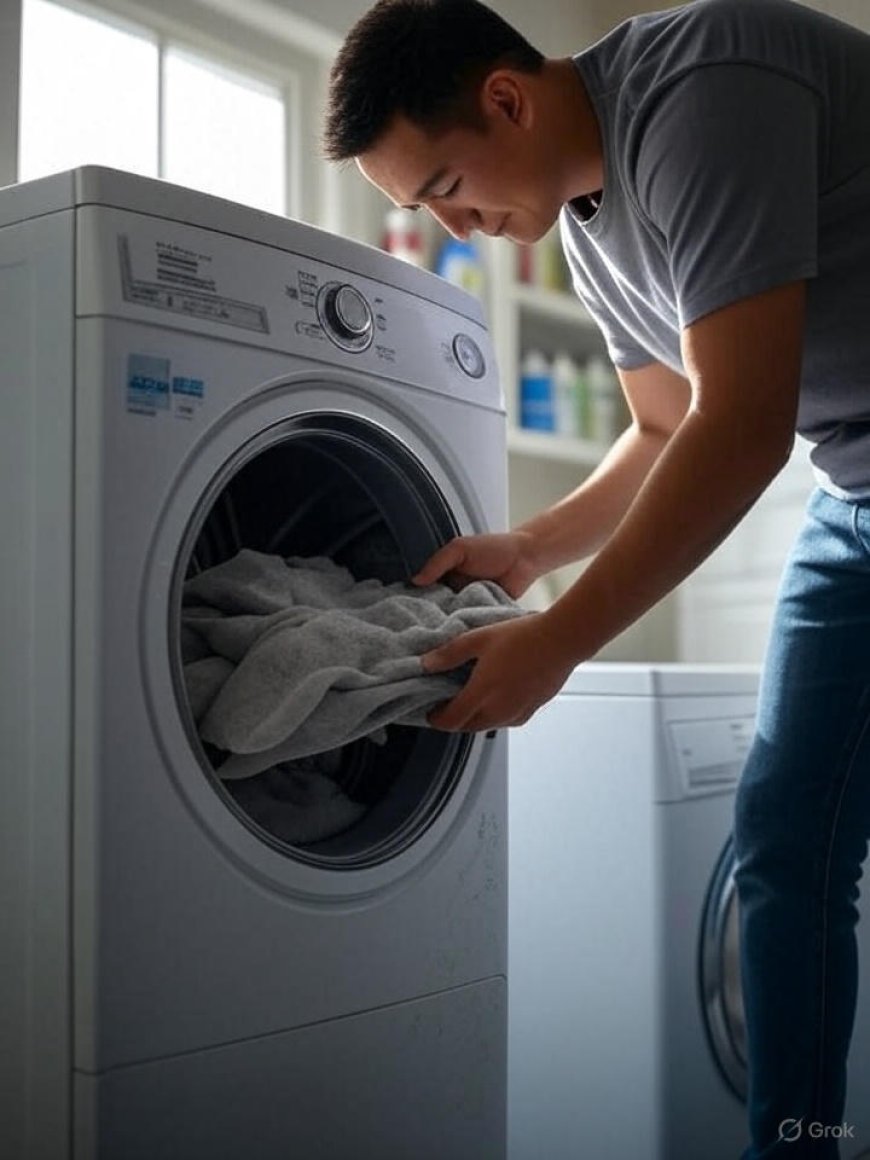 Is it possible to clean a Clovis dryer lint trap without removing it