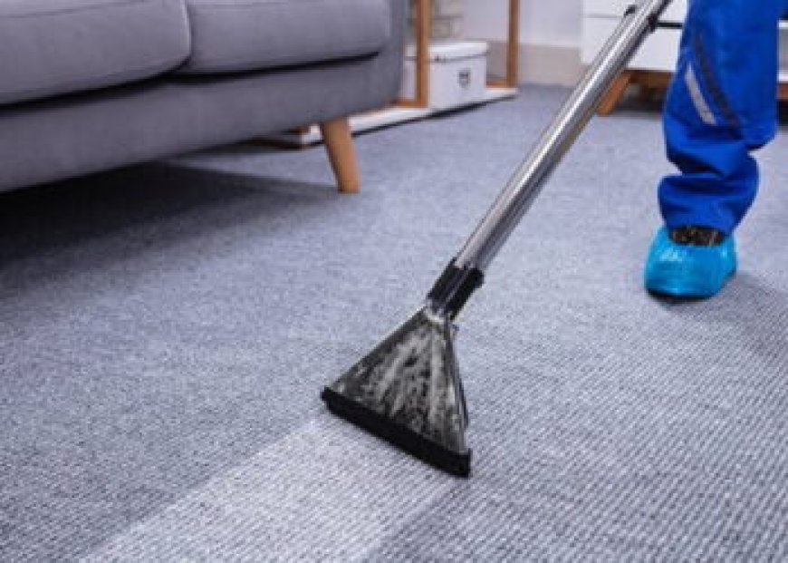 Why Carpet Cleaning Services Are Critical After Hosting a Party