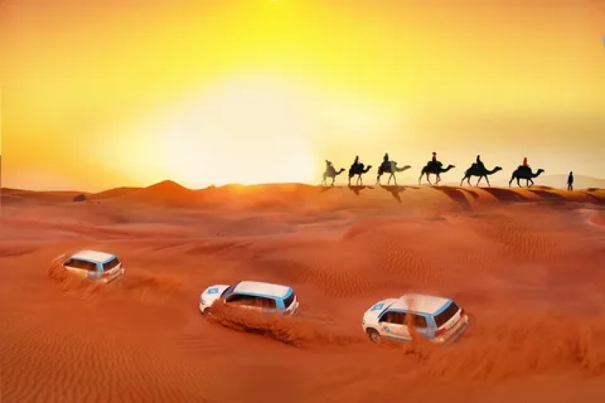 What to Expect on a Morning Safari Tour in Dubai