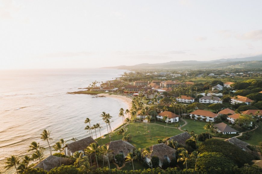 Emerald Isle Escapes: Discovering the Best Places to Stay in Dominica