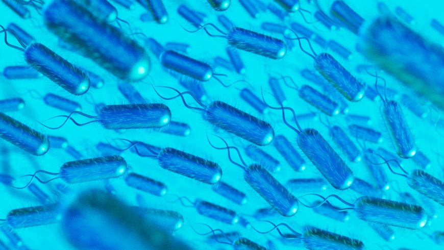 Is Parasite Weight Gain Real? Separating Facts from Myths