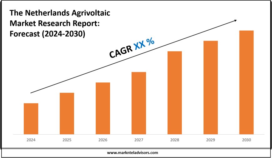 The Netherlands Agrivoltaic Market Volume, Trends and Growth Outlook Report 2030