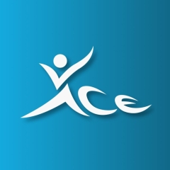 acevolleyballacademy
